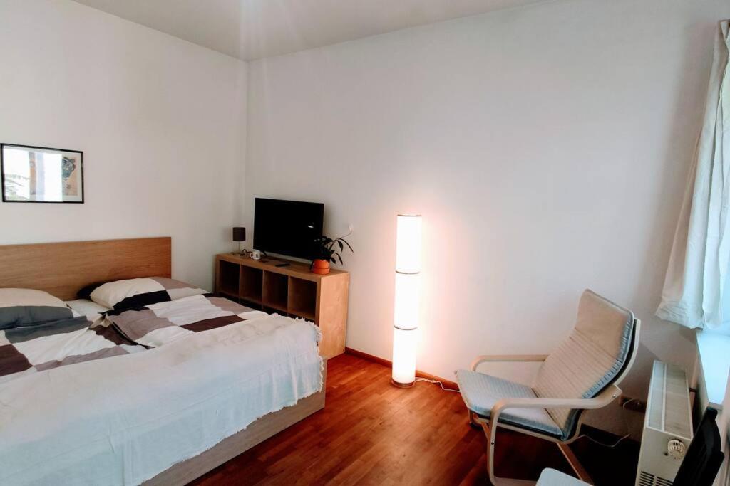 דרזדן Modern Studio08 With Big Balcony In The Neustadt מראה חיצוני תמונה